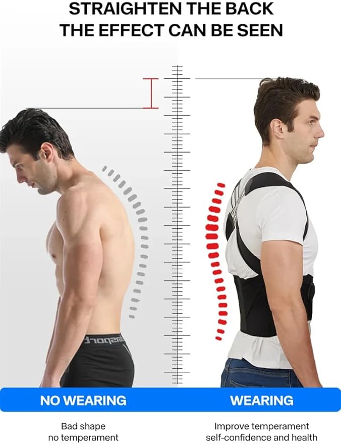 Posture Belt